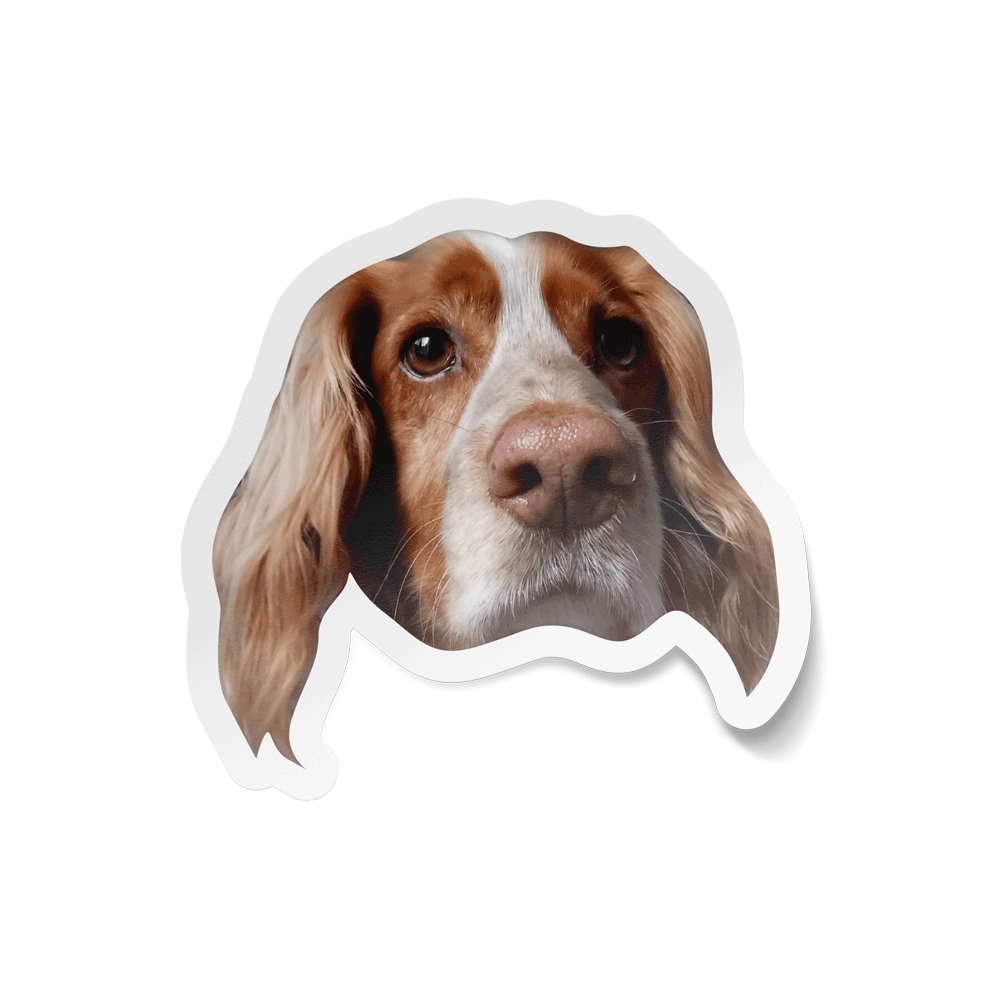 Custom Pet Sticker